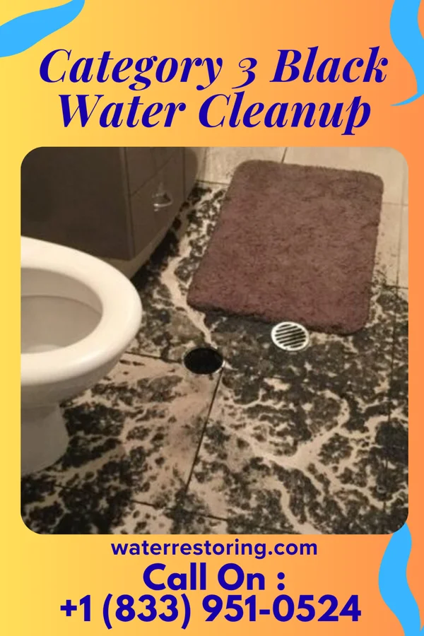 Category 3 Black Water Cleanup in Hastings, NE